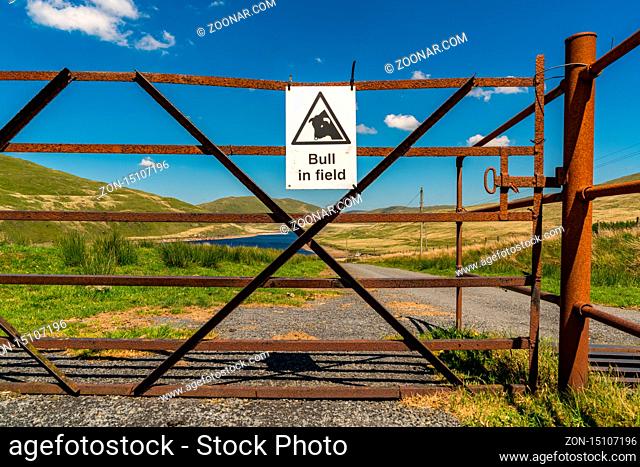 Sign: Bull in field and a rusty gate, seen near Nant-y-Moch Reservoir, Ceredigion, Dyfed, Wales, UK