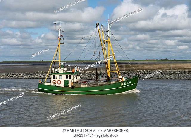 Shrimp cutter, Nordstrom I, NOR 231, Norddeich, Norden, Lower Saxony, Germany, Europe