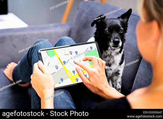 Holding GPS Navigator Map On Tablet With Pet Dog