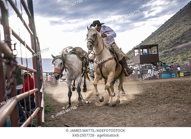 A wrangler grapples with a runaway bucking bronco at a dusty Montana rodeo
