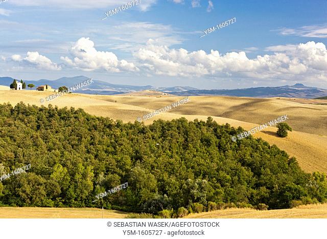Rolling landscape near Pienza, Val d'Orcia, Province of Siena, Tuscany, Italy, Europe