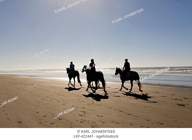 Horseback riders, morning exercise along an empty beach, Christchurch, South Island, New Zealand