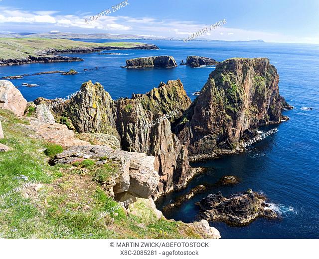 Landscape on West Shetland. the cliffs between Silwick and Westerwick, in the background south shetland with Fitful Head
