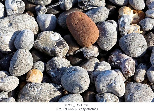 Texture in the rocks, Beach of Dieppe, Côte d'Albatre, Haute-No