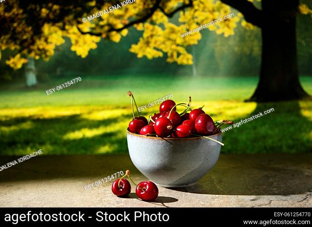 Cherry Fruits in bowl isolated with Nature Background