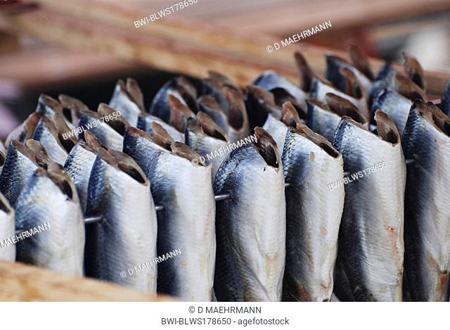 herrings shads, sprats, sardines, pilchards and menhadens Clupeidae, gutted and skewered