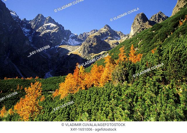 View of the valley 'Dolina Zeleneho plesa' in High Tatras, Slovakia