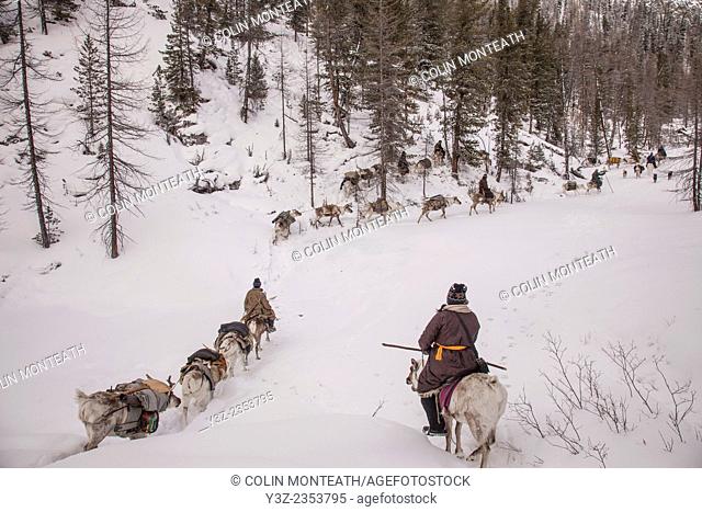 Tsataan reindeer herders, leave winter camp, Hunkher mountains, northern Mongolia