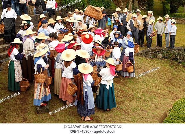 Workers wearing traditional garments in Porto Formoso tea gardens  Sao Miguel, Azores islands, Portugal