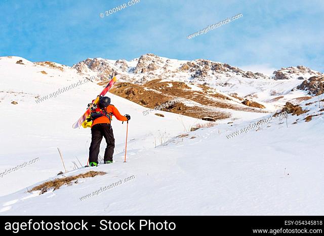 the ski freerider climbs the slope into deep snow powder with the equipment on the back fixed on the backpack. The concept of winter extreme sports