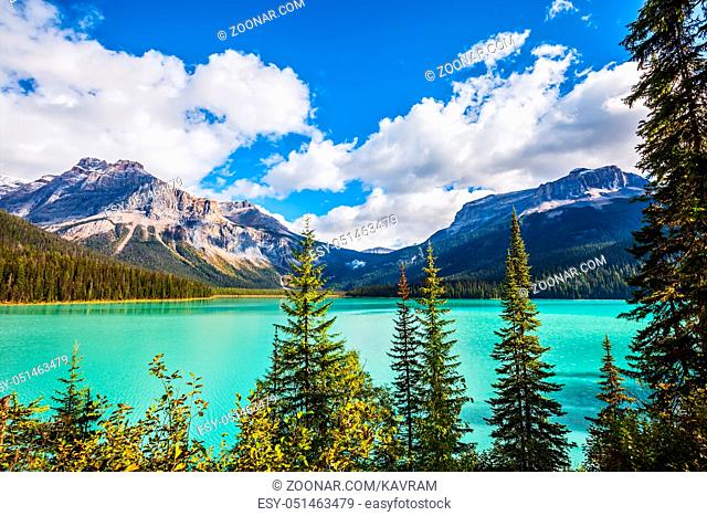 The green lake surrounded by a coniferous forest. Magic Emerald Lake in Yoho National Park, Rocky Mountains