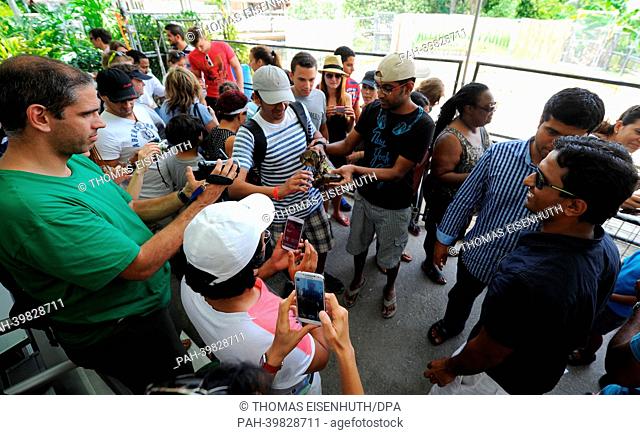 Tourists visit an alligator farm at the Everglades National Park and attend a snake show in Florida City, USA, 26 May 2013