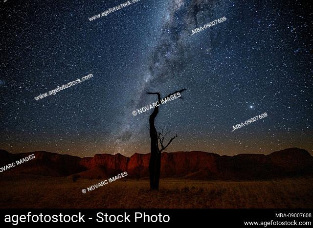 Dead tree in front of Milky Way, Namibia, Africa