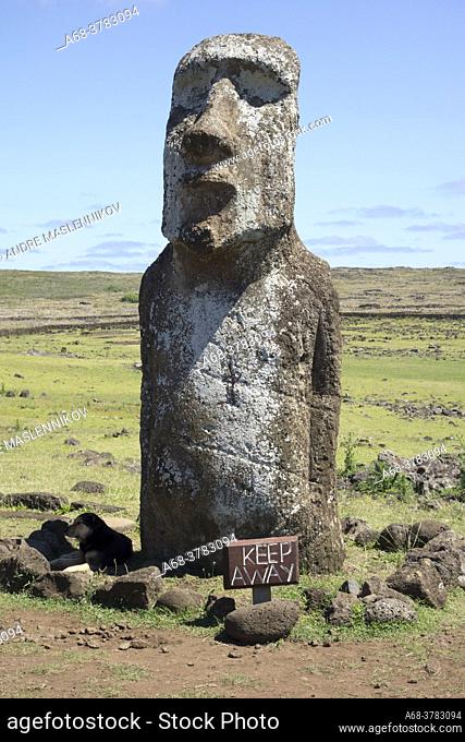 One moai close to Tongariki. Ahu Tongariki is the largest ahu on Rapa Nui/Easter Island (a Chilean island in the Pacific)