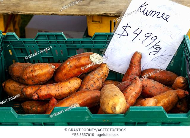 Kumara Sweet Potatoes, Mount Maunganui Farmers Market, North Island, New Zealand