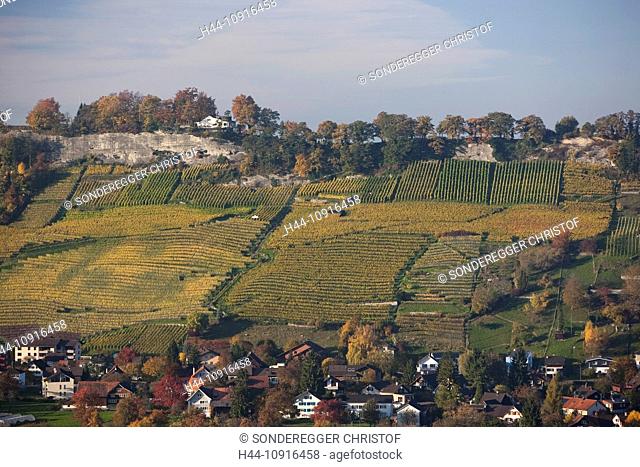 Mountain, mountains, village, autumn, canton, St. Gallen, St. Gall, Switzerland, Europe, Rhine Valley, Thal, village, vineyards
