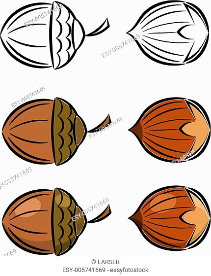 Cartoon set of vector images of hazelnut and acorn. eps10