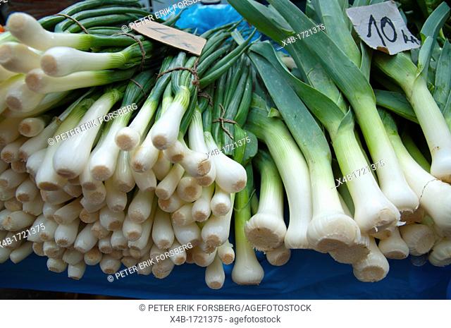 Local leeks and spring onions Dolac the main produce market central Zagreb Croatia Europe