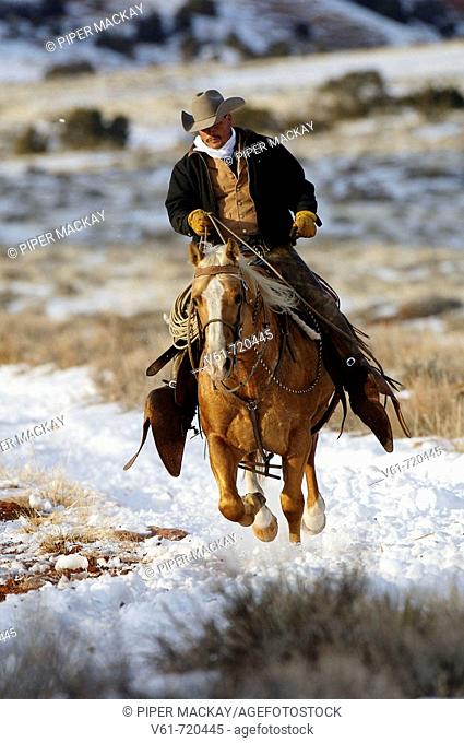Cowboy out for a ride in winter, Shell, Wyoming. Usa