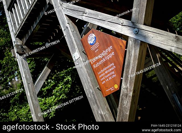 A wooden tower near a lynx enclosure at the nationalpark Harz near Bad Harzburg (Germany), 16 August 2020. - Bad Harzburg/Niedersachsen/Deutschland