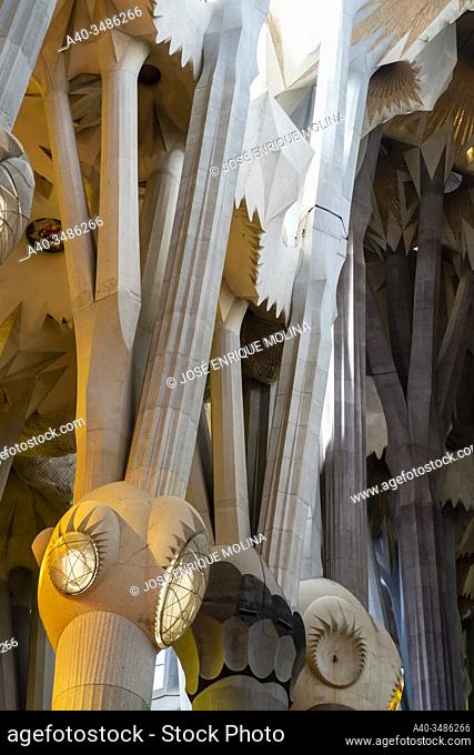 Basilica of La Sagrada Familia, Interior of basilica, Barcelona, Catalonia, Spain