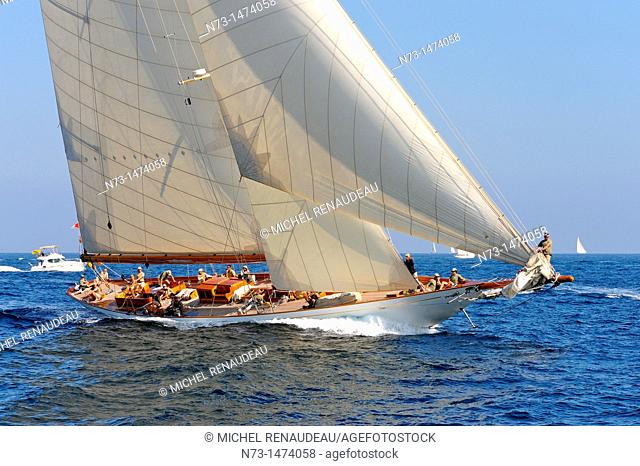 France, Var 83, Saint-Tropez, Les Voiles de Saint-Tropez meet every year in late September of beautiful classic yachts competing in regattas superb here Cambria...