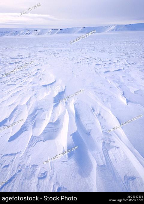Landscape with Sastrugi between glaciers Rabotbreen and Koenigsbergbreen during winter, the island Spitzbergen in the Svalbard archipelago