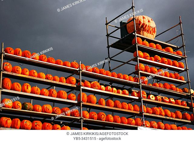 Pumpkins stand high on shelves as storm clouds approach