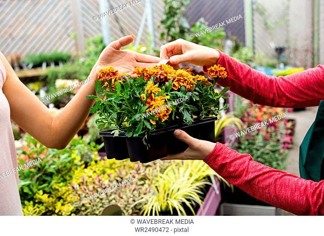Woman buying potted plants