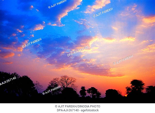 Serene Sunrise near Chhota Dhuandhar, Madhya Pradesh, India, Asia