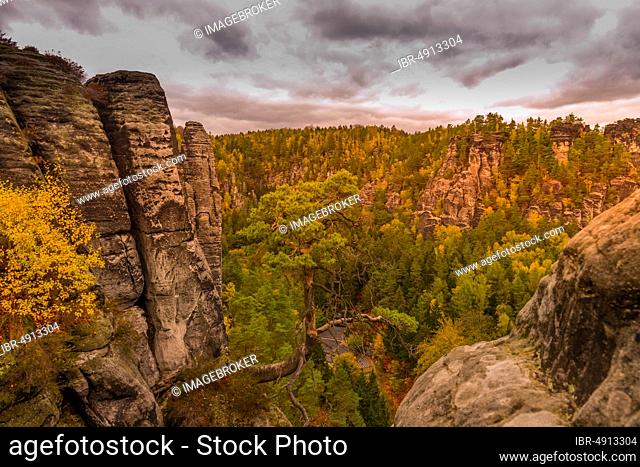 Basteiblick to the rock formation Große Gans, Rathen, Saxon Switzerland National Park, Saxony, Germany, Europe