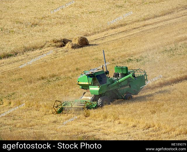 Grain harvest in Fergana Valley close to the border to Uzbekistan. Asia, central Asia, Kyrgyzstan