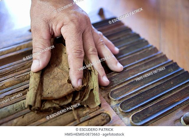 Cuba, Pinar del Rio Province, Vinales Valley listed as World Heritage by UNESCO, detail of hands rolling cigars