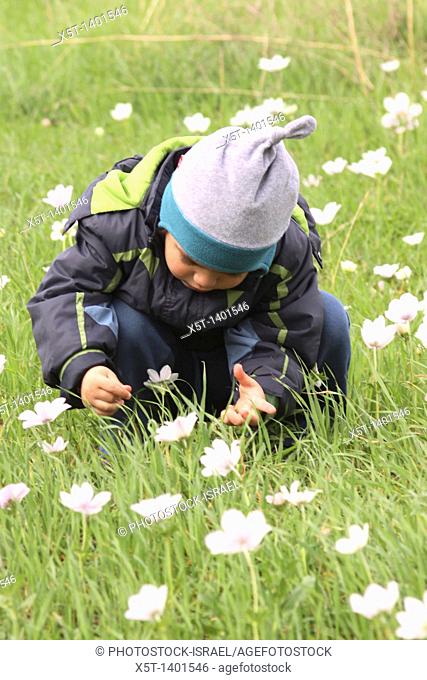 A three year old toddler in a field of spring flowers