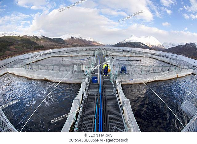 Workers at salmon farm in rural lake