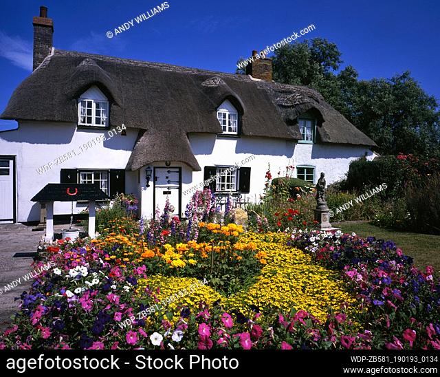 Cottages - thatched cottage and garden in summer