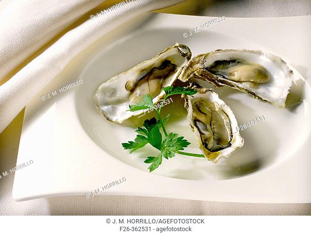 Oysters dish