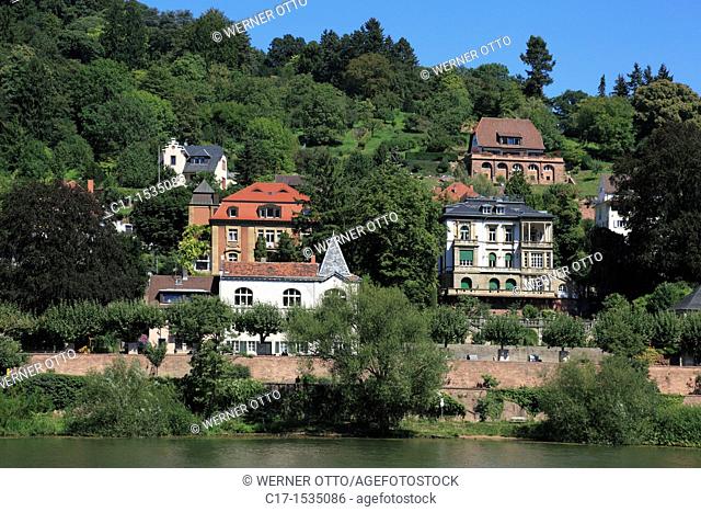 Germany, Heidelberg, Neckar, Rhine-Neckar area, nature reserve Neckartal-Odenwald, Bergstrasse, Odenwald, Baden-Wuerttemberg, Heidelberg-Neuenheim