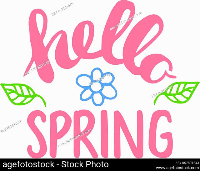 Hello Spring quote hand drawn calligraphy with brush pen lettering. Vector illustration