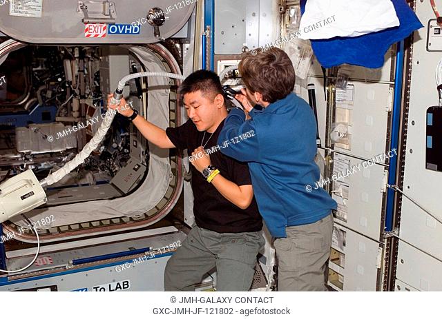 Astronaut Peggy A. Whitson, Expedition 16 commander, trims astronaut Daniel Tani's hair in the Harmony node of the International Space Station
