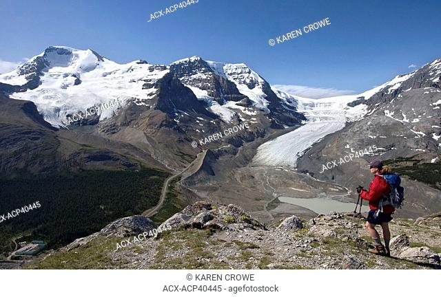 Hiker taking in the views of the Columbia Icefield from Wilcox Pass, Jasper National Park, Canadian Rockies, Alberta, Canada