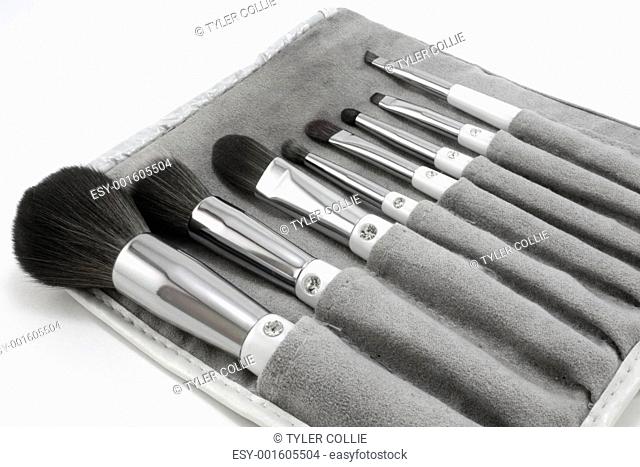 Makeup brushes, set of 8 with carry pouch