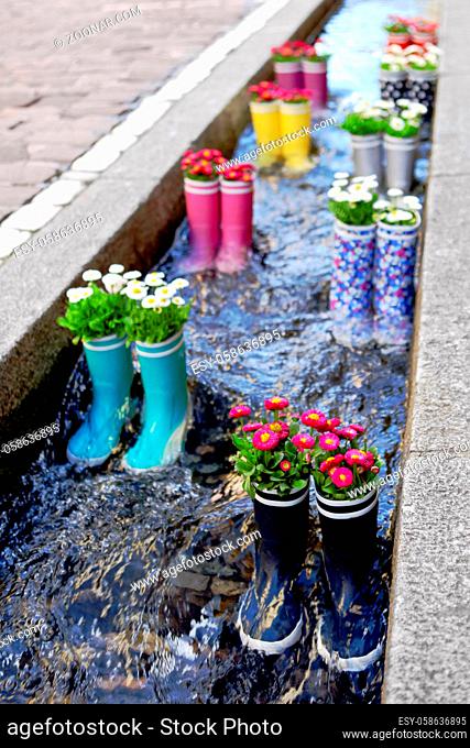 Rubber boots in the water with flowers in the city of Freiburg. Tourist attraction in the city center