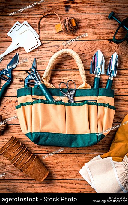 Gardening tools and equipment on wooden background