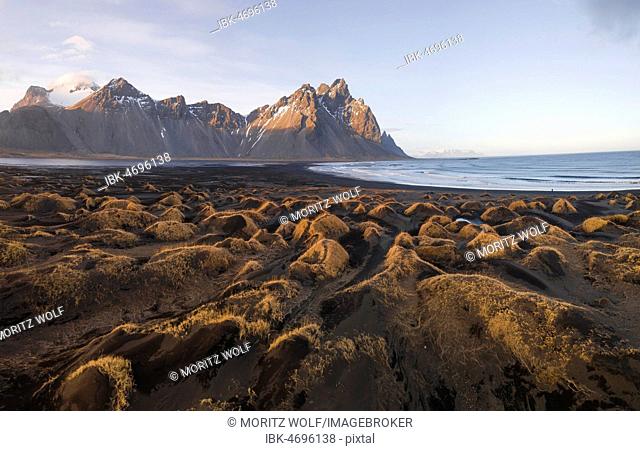 Black sandy beach, overgrown stones, mountains Klifatindur, Eystrahorn and Kambhorn, headland Stokksnes, massif Klifatindur, Austurland, East Iceland, Iceland