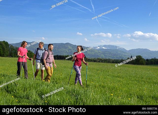 Group hiking, hike, Nantesbuch, in front of Benediktenwand, Bad Heilbrunn, Loisachtal, Upper Bavaria, Bavaria, Germany, Europe