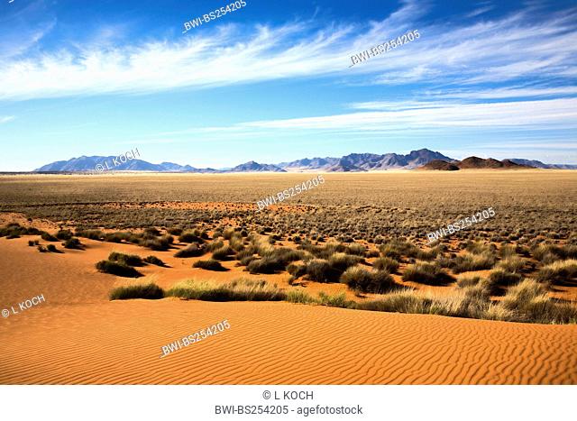 desert landscape, Namibia, Namib Naukluft National Park