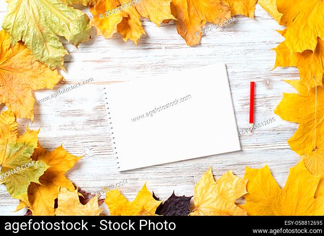 Spiral sketchbook and pen lies on vintage wooden desk with bright foliage. Flat lay with autumn leaves on white wooden surface