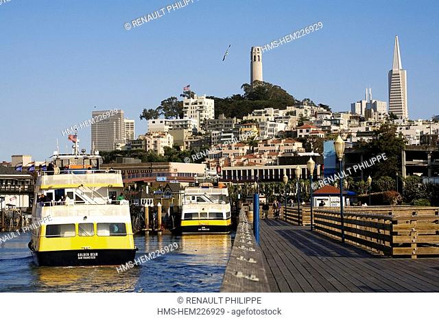 United States, California, San Francisco, Fisherman's Wharf, basically Telegraph Hill, Colt Tower and the Transamerica Pyramid tower