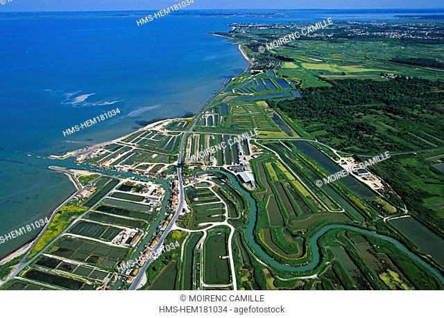 France, Charente Maritime, Ile d' Oleron, coast between Boyardville and Le Chateau d' Oleron towns aerial view